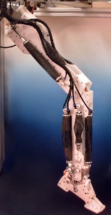 Robot's leg Robot leg